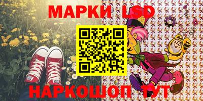 шишки Можга