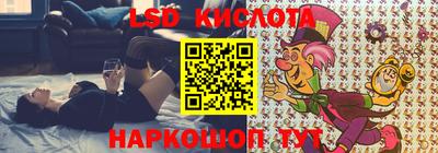 шишки Можга