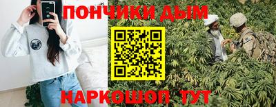 шишки Можга