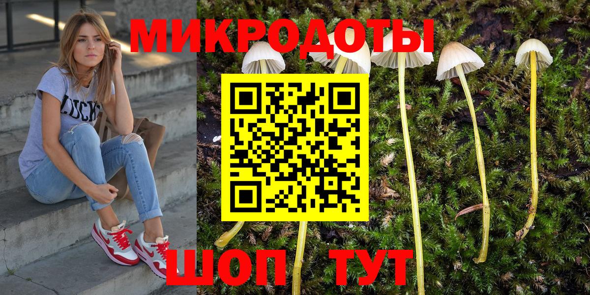 Галлюциногенные грибы прущие грибы Тихвин