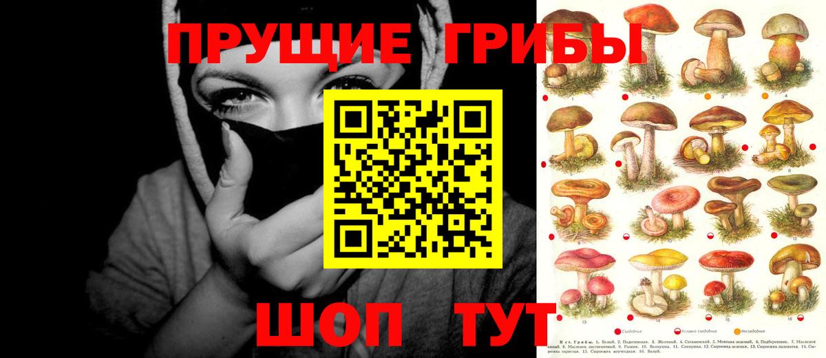 Тихвин  Галлюциногенные грибы ЛСД  Вход с VPN 